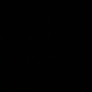 Meet your Posher, Maya